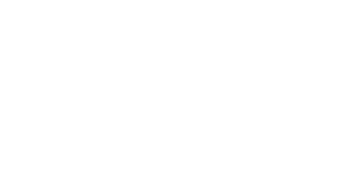steel impex logo